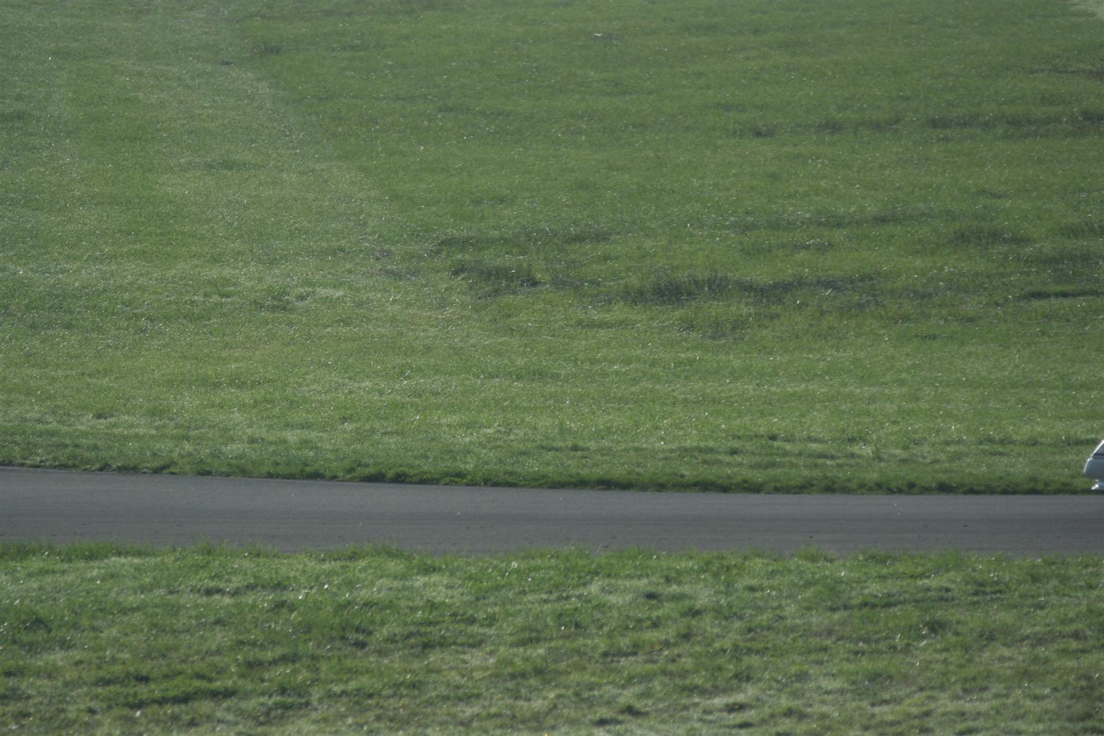 IMG_8200